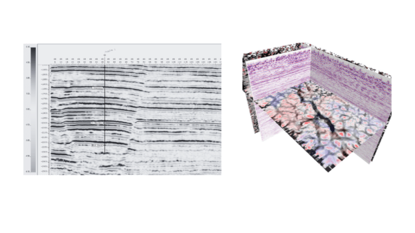 Two examples of seismic showing structures deep underground